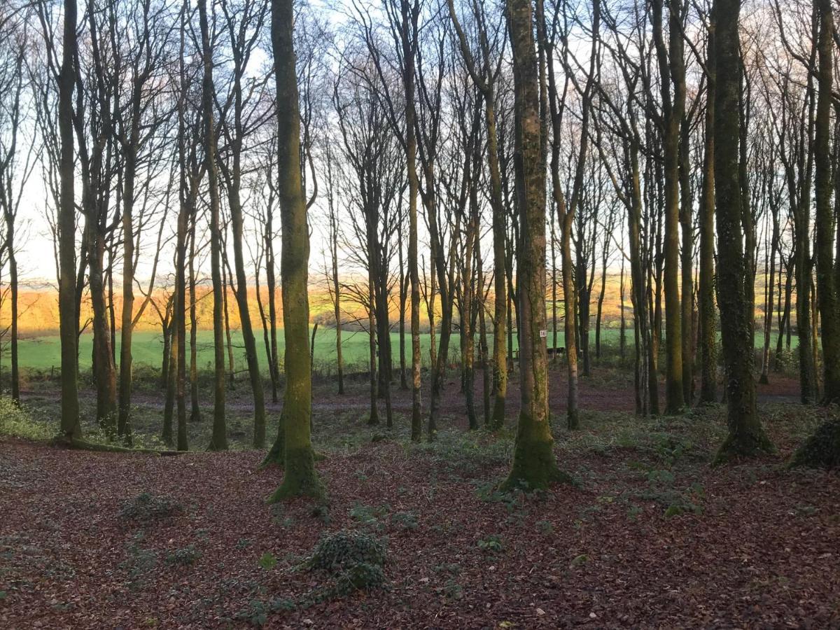Mullaghmeen Forest Μουλινγκάρ Εξωτερικό φωτογραφία
